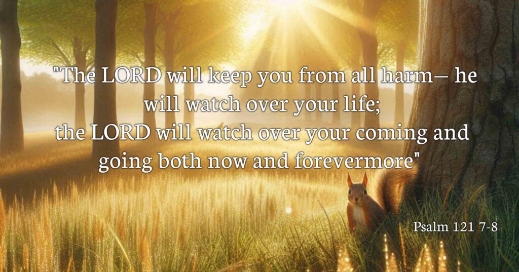 Psalm 121:7-8  "The Lord will keep you from all harm—He will watch over your life; the Lord will watch over your coming and going both now and forevermore."