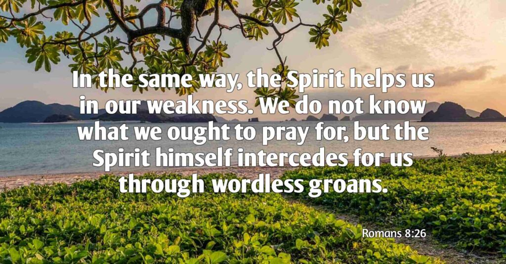 ''In the same way, the Spirit helps us in our weakness. We do not know what we ought to pray for, but the Spirit himself intercedes for us through wordless groans." Romans 8:26 (NIV)