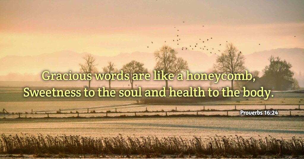 Proverbs 16:24 , "Gracious words are like a honeycomb, sweetness to the soul and health to the body."