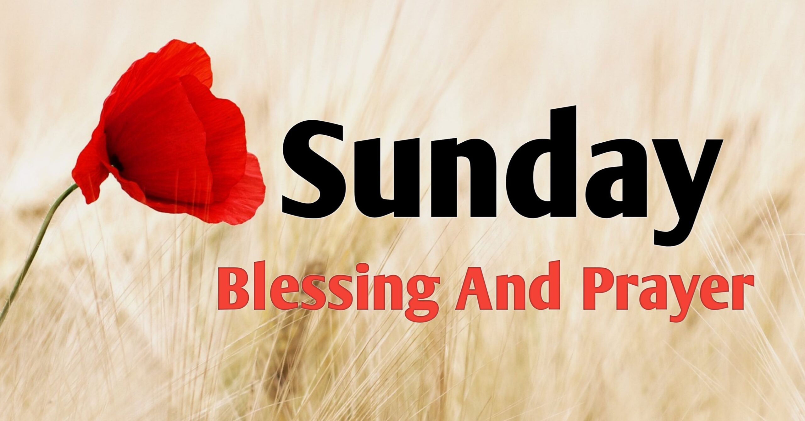 Sunday Blessings and Prayers