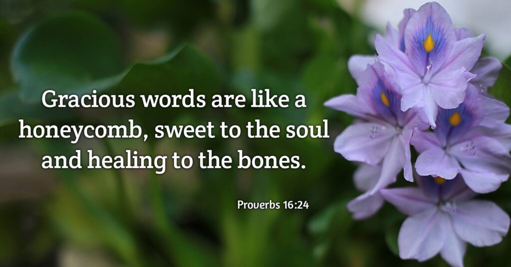 "Gracious words are a honeycomb, sweet to the soul and healing to the bones."Proverbs 16:24,