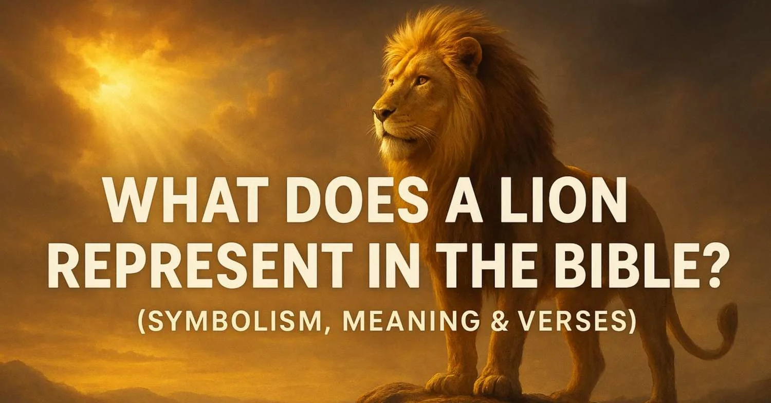 What Does a Lion Represent in the Bible? (Symbolism, Meaning & Verses)