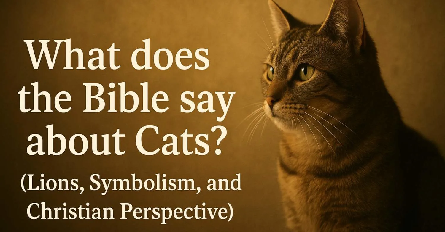 What Does the Bible Say About Cats?