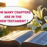 How Many Chapters Are in the New Testament?