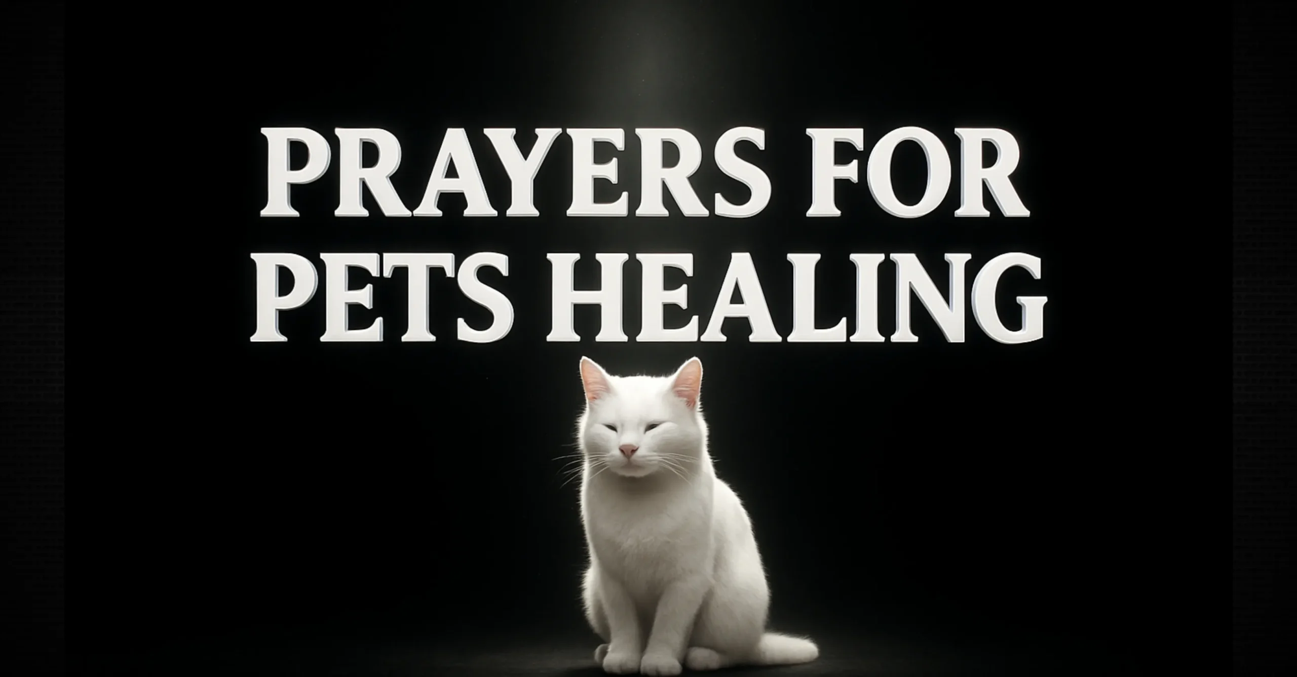 Prayers for Pets Healing – Powerful Christian Prayers for Sick Pets