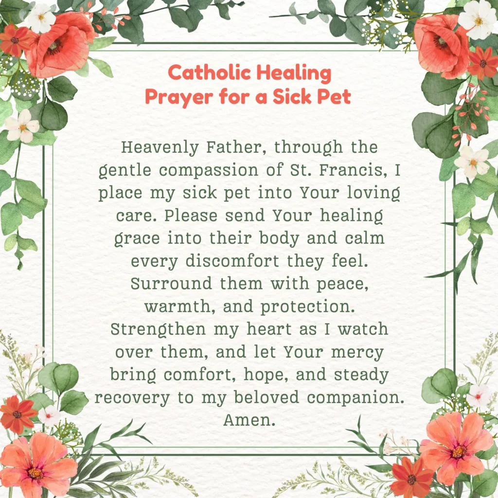 Catholic Prayer for Sick Pet