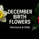 December Birth Flower