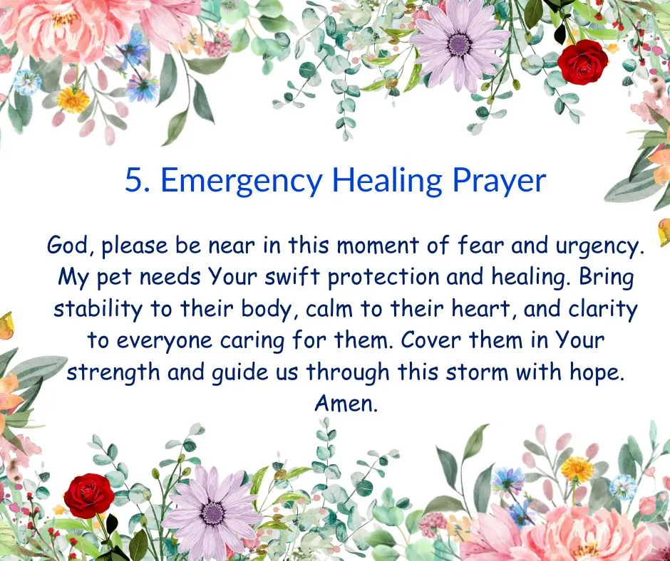 Emergency Healing Prayer for pets