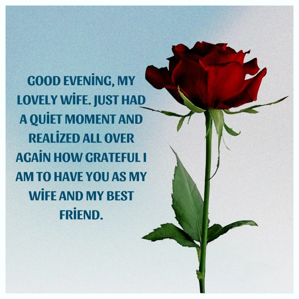 Good evening, my lovely wife. Just had a quiet moment and realized all over again how grateful I am to have you as my wife and my best friend.