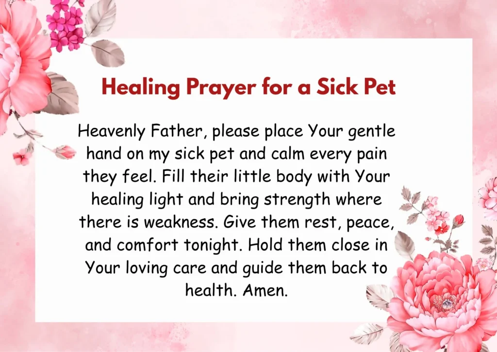 Healing Prayer for a Sick Pet