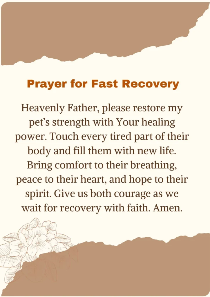 Heartfelt Prayer for Sick Pets