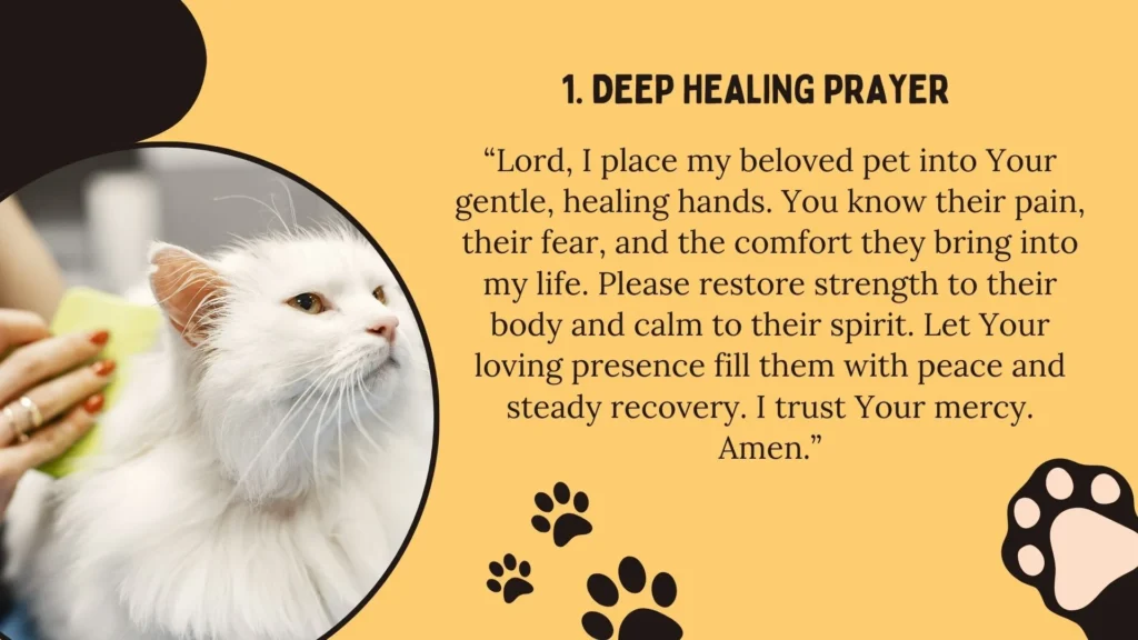 Prayer for Pets Healing