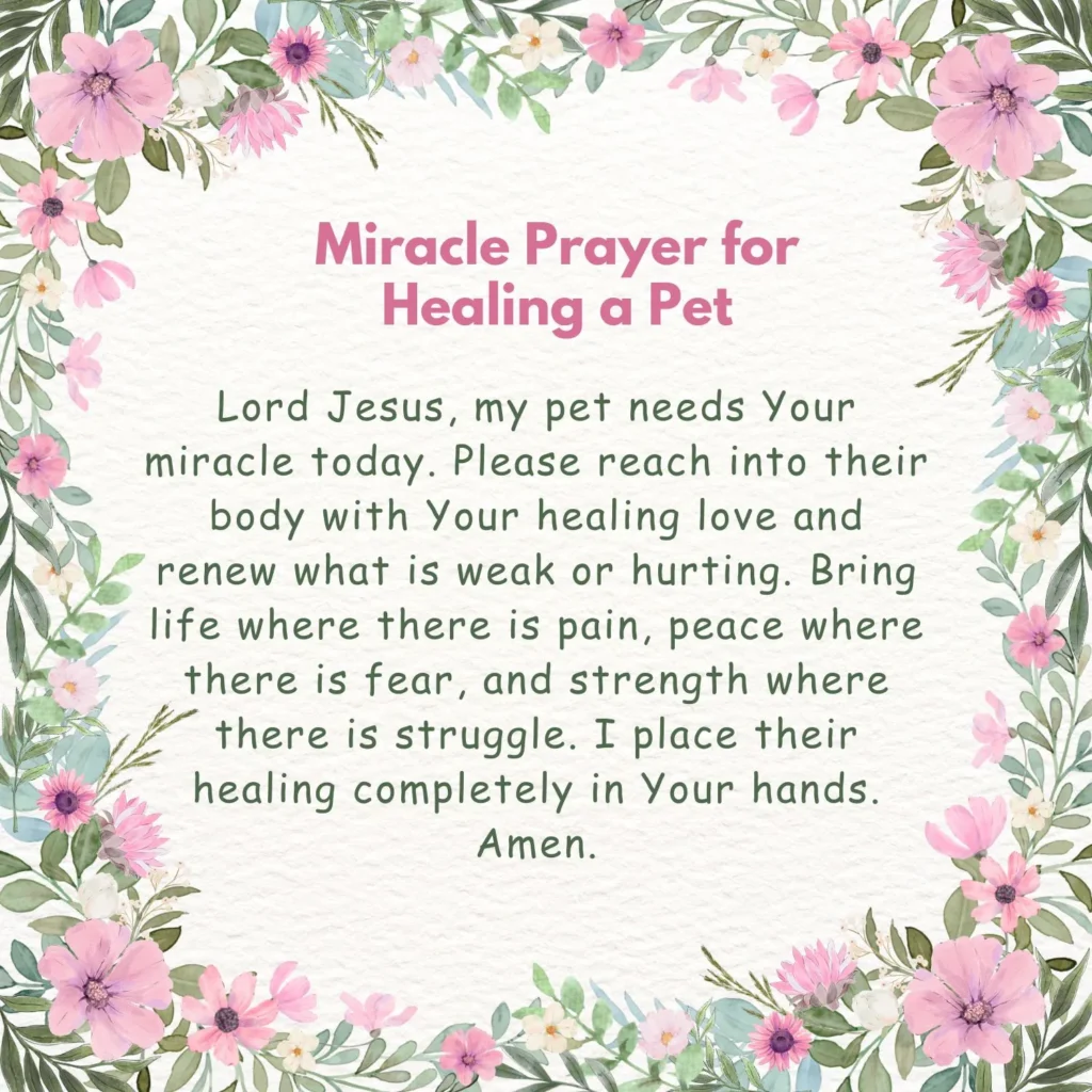 Prayer for Sick Pets