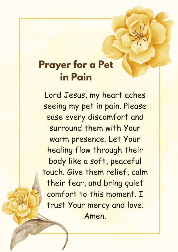 Prayer for Sick Pets to Bring God’s Healing