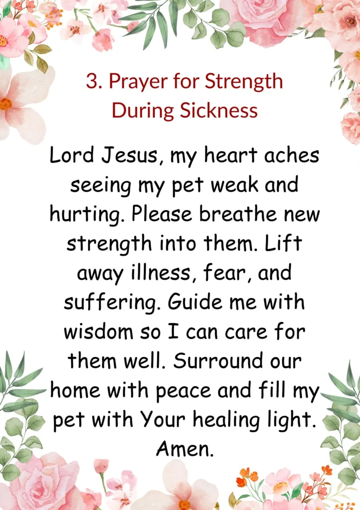 Prayer for Strength During Sickness.. Prayers for Pets Healing