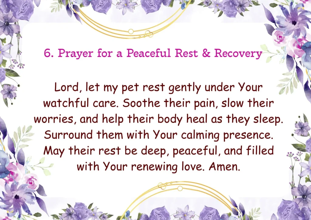 Prayers for Pets Healing – Powerful Christian Prayers for Sick Pets