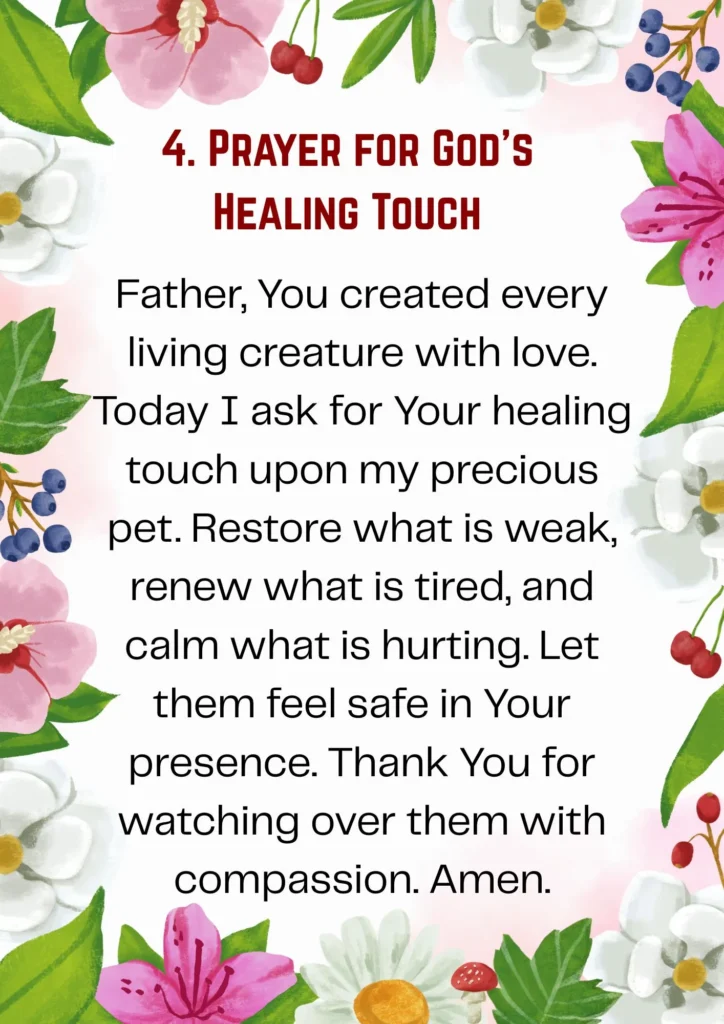 Prayers for Sick Pets