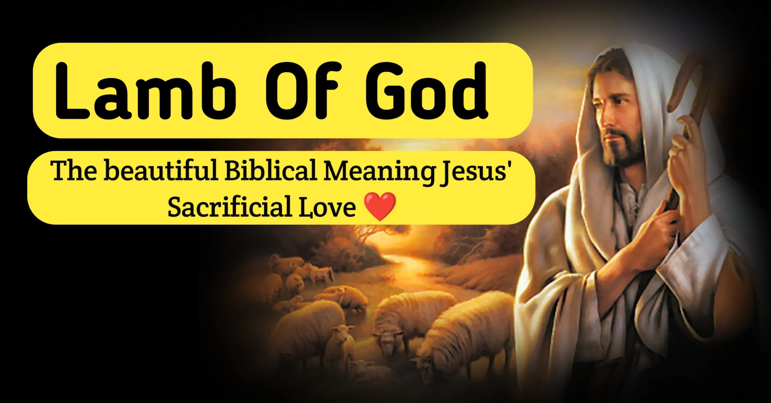 Lamb of God The Beautiful Biblical Meaning Behind Jesus’ Sacrificial Love