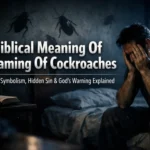 What is the biblical meaning of dreaming of cockroaches