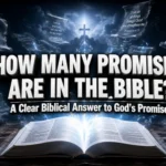 How many promises are in the Bible – illustration of God’s promises in Scripture, Bible open with light symbolizing faith and hope