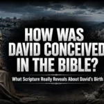 How was David conceived in the Bible illustration showing David son of Jesse biblical birth and lineage