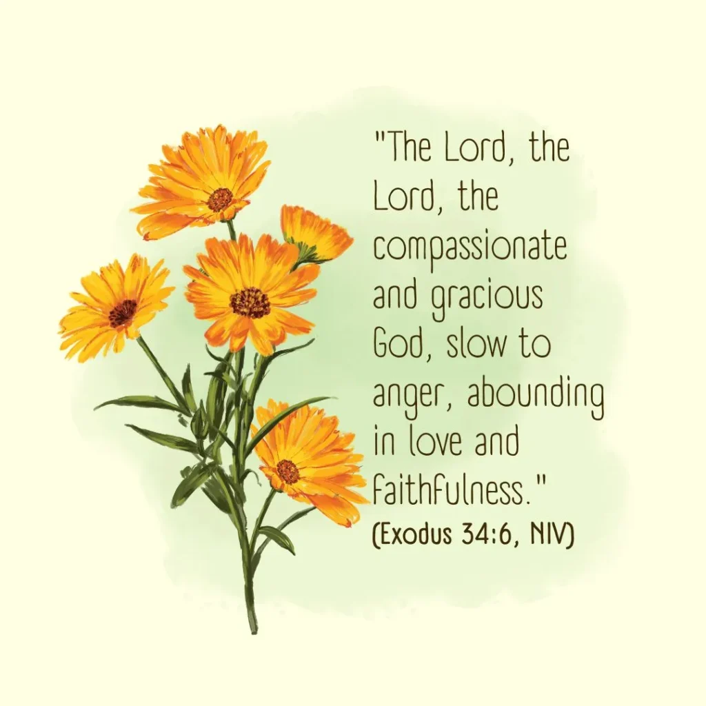 Exodus 34:6 Bible verse showing God's mercy, compassion, love, and faithfulness (NIV) explaining the biblical meaning of mercy.