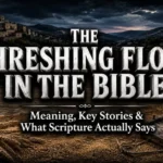 Threshing floor in the Bible with wheat and grain