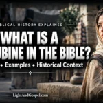 What is a concubine in the Bible biblical concubinage and ancient household life